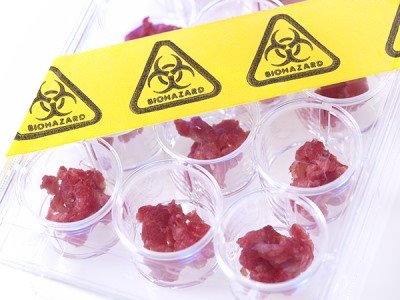 Food safety testing